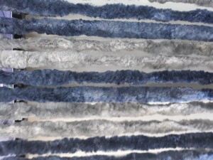 20190319_071841.jpg