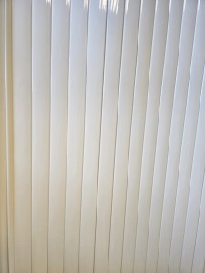 1000212481.jpg